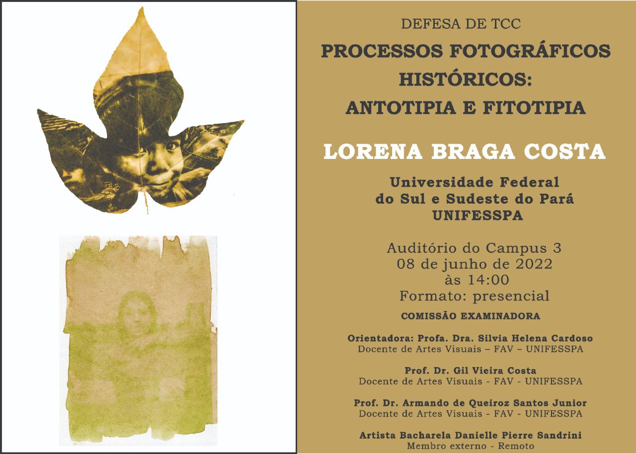 TCC Lorena Braga Costa